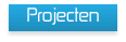 Projecten